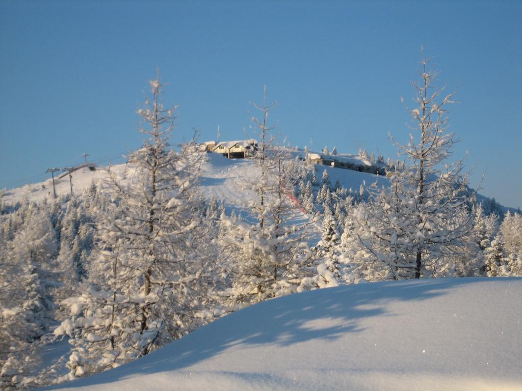 Rifugio Verenetta Casere Verena Exterior photo